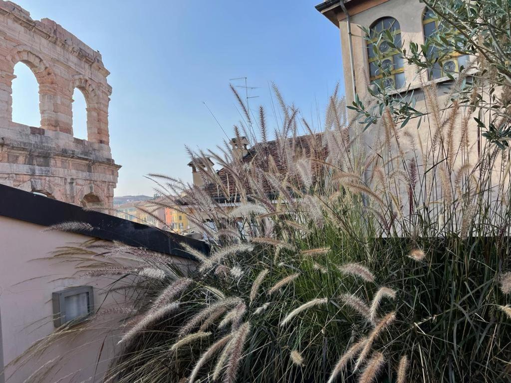 La Terrazza Sull'Arena Apartamento Verona Exterior foto