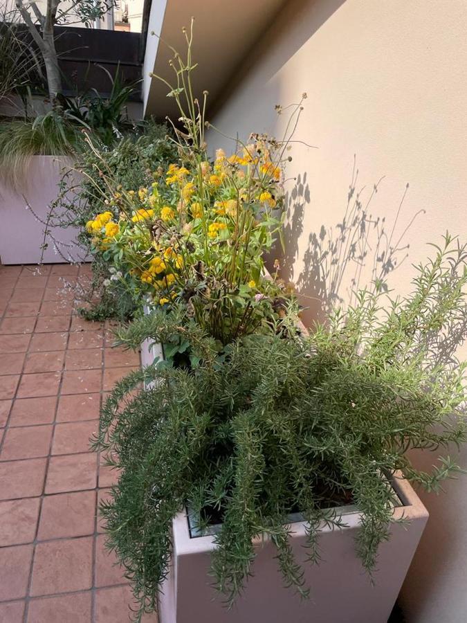 La Terrazza Sull'Arena Apartamento Verona Exterior foto